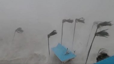 Hurricane Ian Video: ফ্লোরিডায় আছড়ে পড়ল ইয়ান, মুহূর্মুহু বিদ্যুতের চমক, দেখুন বিমানের কী অবস্থা